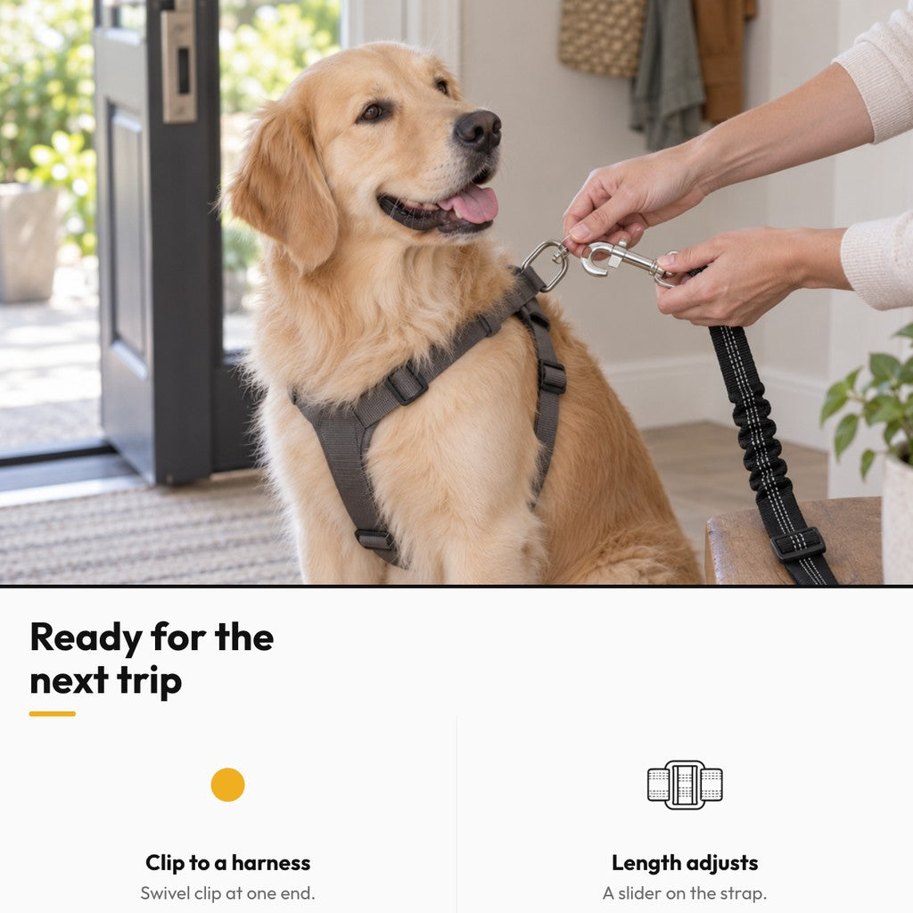 Buckle Up Buddy – Ready for the next trip