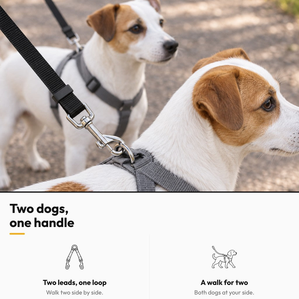 Twin Trail double dog leash – Two dogs, one handle