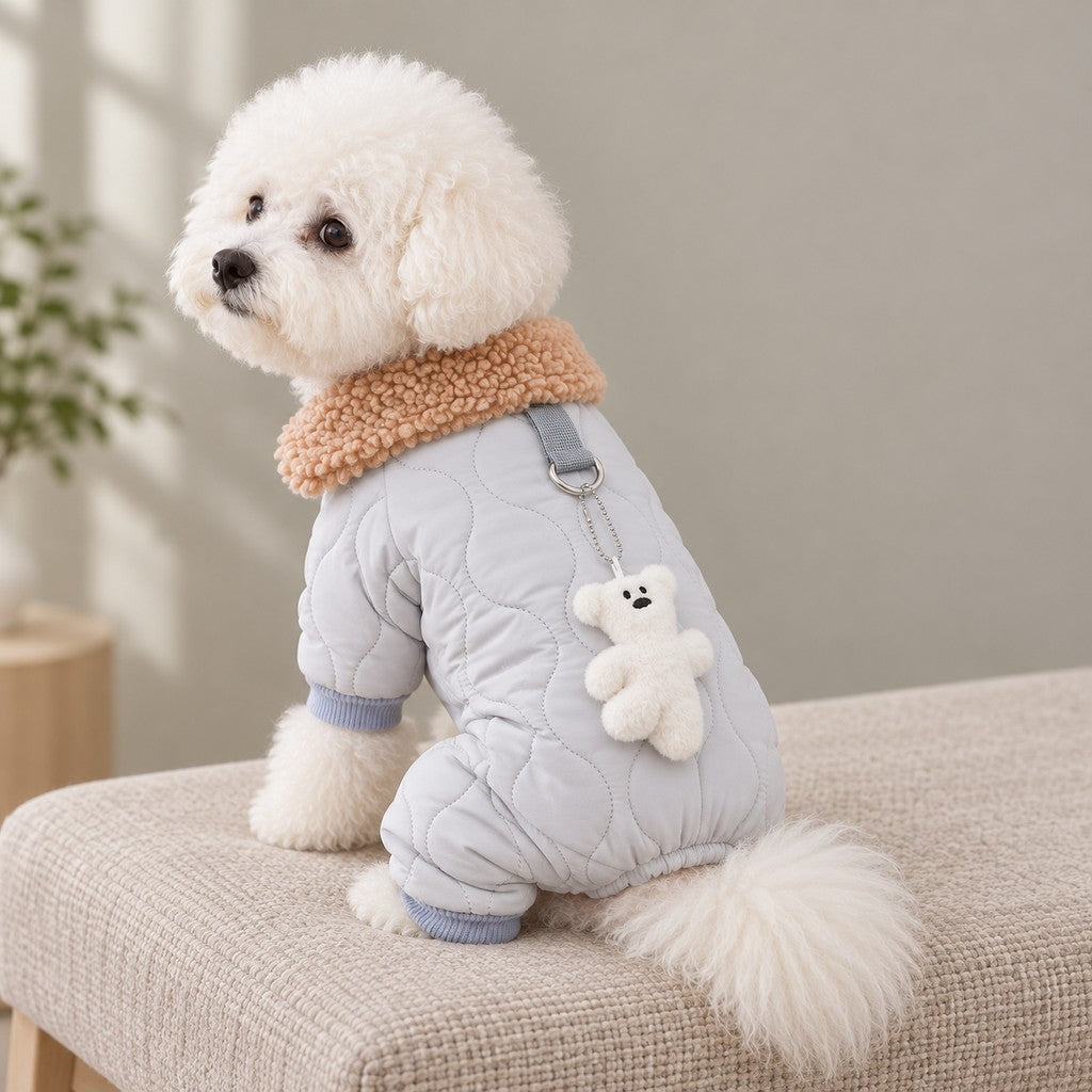 White Bichon wearing the quilted grey jacket, seen from behind with the back strap