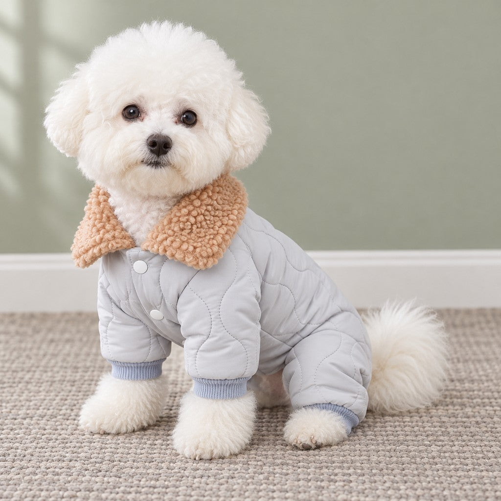 Bichon wearing the jacket, chest fastening and fluffy collar visible from the front