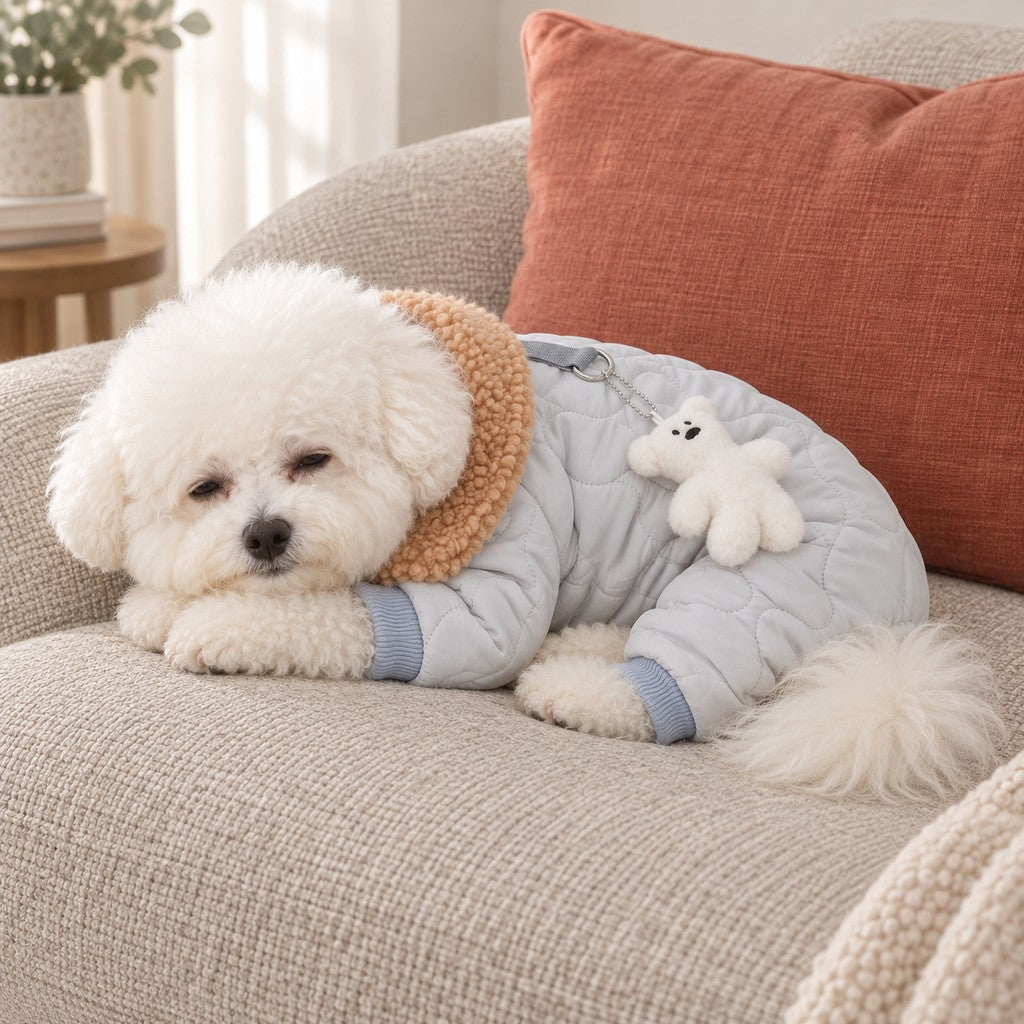 Drowsy Bichon in the padded jacket resting on a sofa