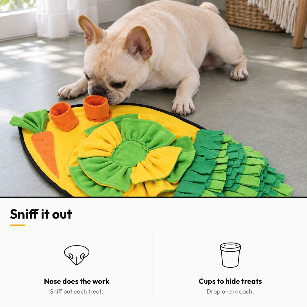Carrot snuffle mat – Sniff it out