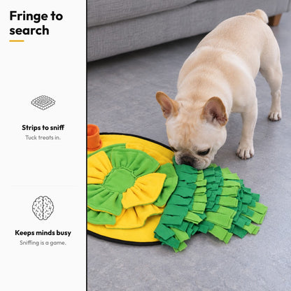 Carrot snuffle mat – Fringe to search