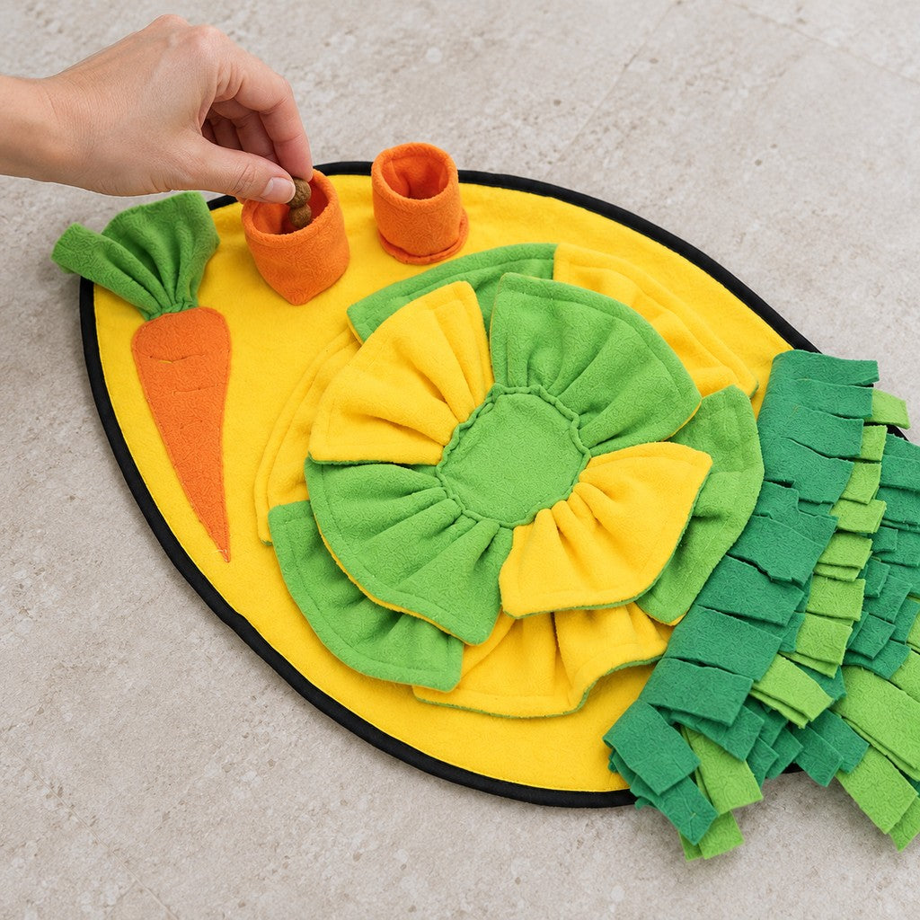 Treat being placed into one of the orange cups on the snuffle mat