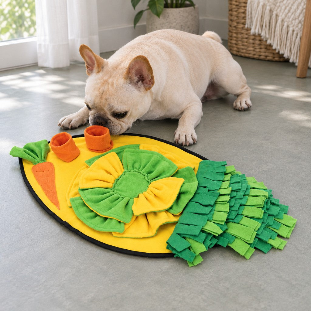 Same cream bulldog calmly investigating the rim of an orange cup