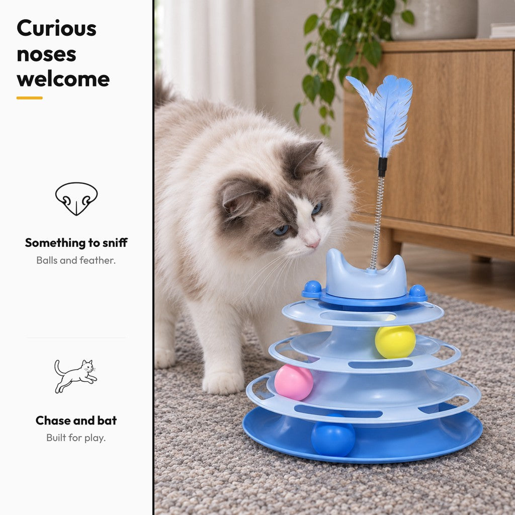 Cat ball track toy – Curious noses welcome