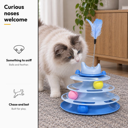 Cat ball track toy – Curious noses welcome
