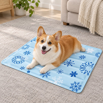 Corgi resting comfortably on the light blue snowflake mat on the floor