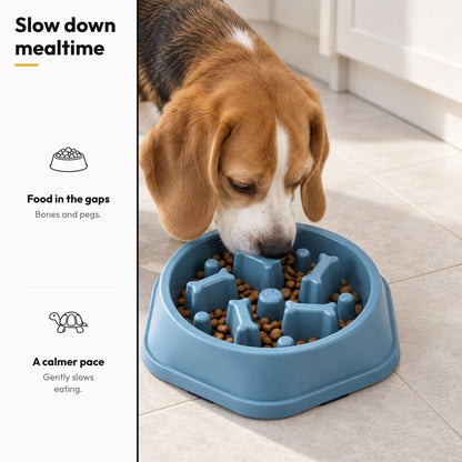 Slow Bowl slow feeder bowl – Slow down mealtime