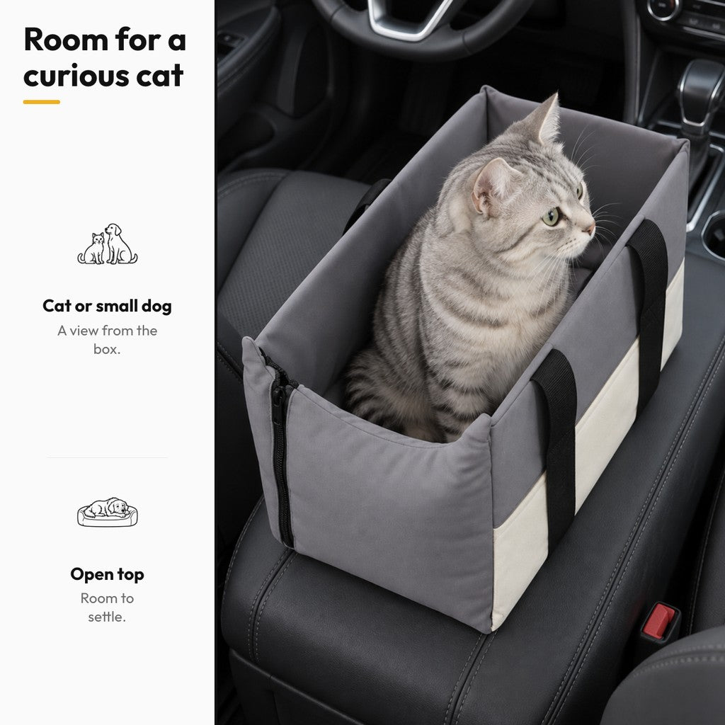 Road Nest – Room for a curious cat