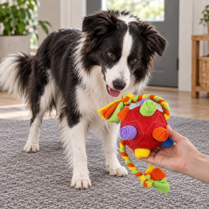 Hand holding the fleece snuffle ball out to a black and white border collie indoors