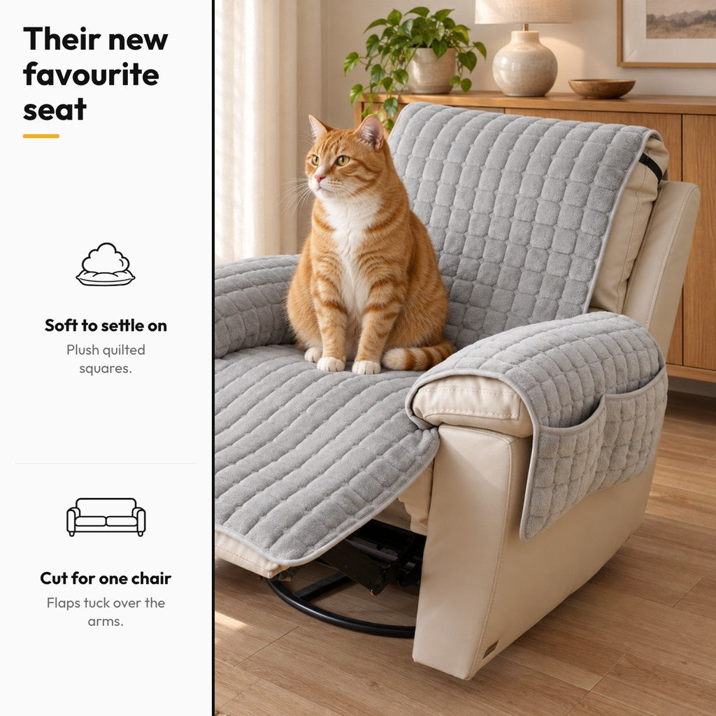 Couch Cuddle – Their new favourite seat