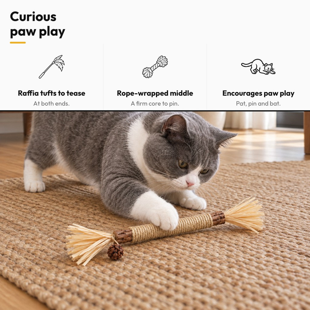 Raffia stick toy – Curious paw play