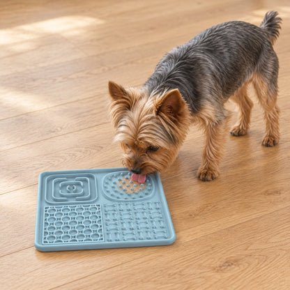Yorkshire terrier licking food from the silicone lick mat