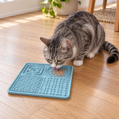 Grey tabby cat licking paste from the studded zone of the blue lick mat