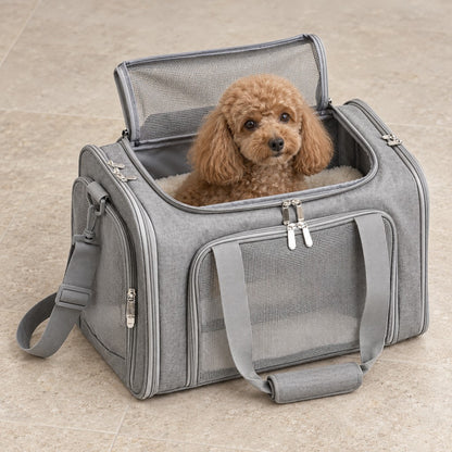 Calm poodle sitting inside the grey carrier, looking out of the open top flap