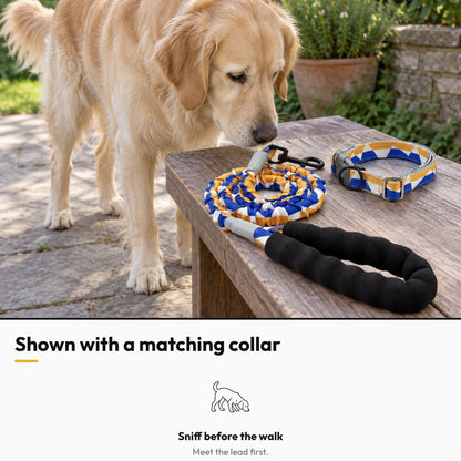 Spring Step – Shown with a matching collar: dog sniffing the lead before the walk