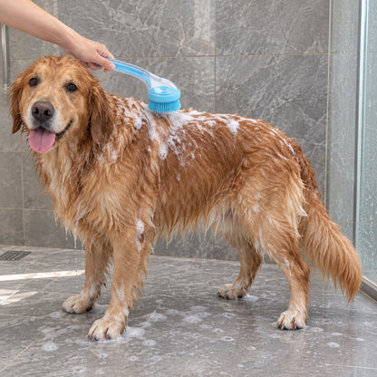 Dog being lathered across the back with the bath brush