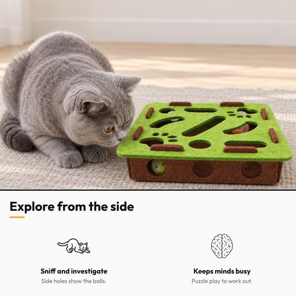 Hide & Seek – Explore from the side: sniff and investigate, keeps minds busy