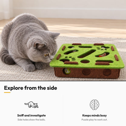 Hide & Seek – Explore from the side: sniff and investigate, keeps minds busy