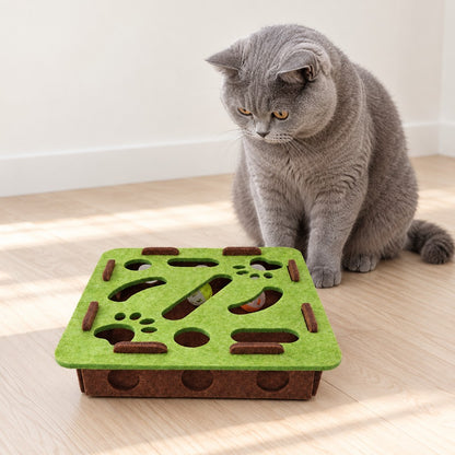 Grey cat sitting calmly beside the green felt puzzle box, looking down at it