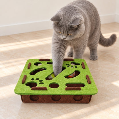 Cat reaching a paw diagonally into an opening in the box lid