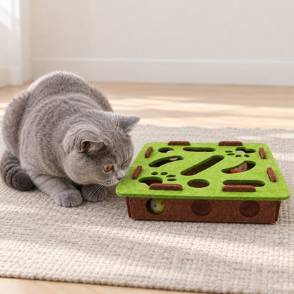Cat inspecting the side wall and a ball through the box side hole