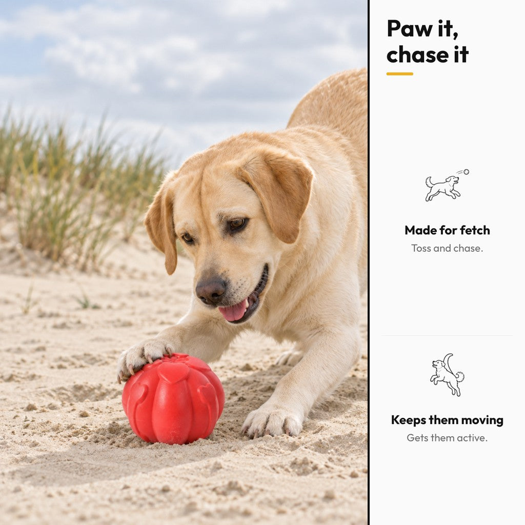 Red Lobed Fetch Ball – Paw it, chase it: made for fetch, keeps them moving