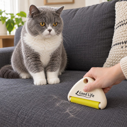 Cat on a sofa beside the roller picking up hair from the cushion