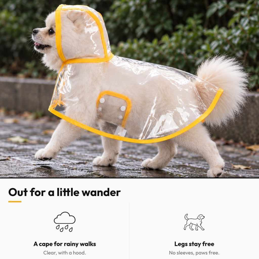 Clear Hooded Rain Cape for Dogs – Out for a little wander