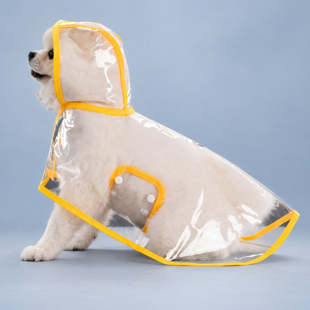 Small fluffy cream dog sitting in a clear hooded rain cape with yellow edging, blue-grey backdrop
