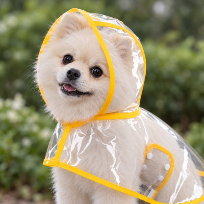 Close view of a smiling cream dog's face inside the clear yellow-edged cape hood