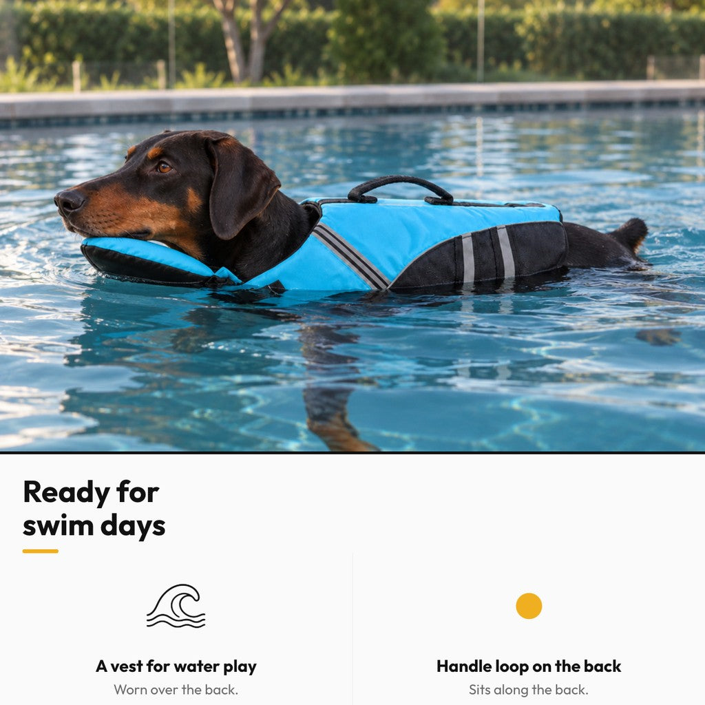 Dog Swim Vest with Back Handle – Ready for swim days: Doberman swimming in a pool