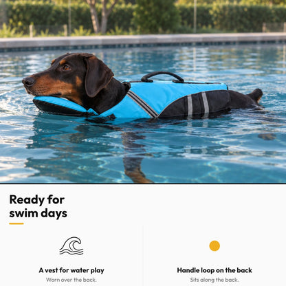 Dog Swim Vest with Back Handle – Ready for swim days: Doberman swimming in a pool