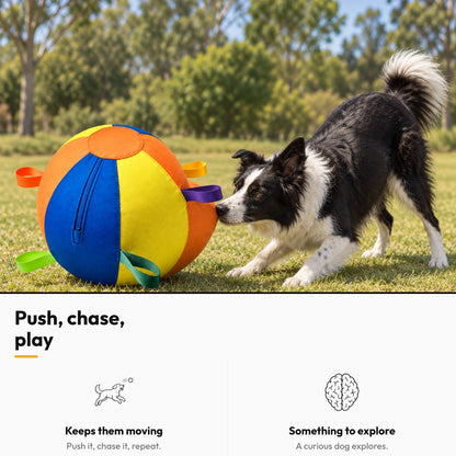 Giant Herding Ball for Dogs – Push, chase, play