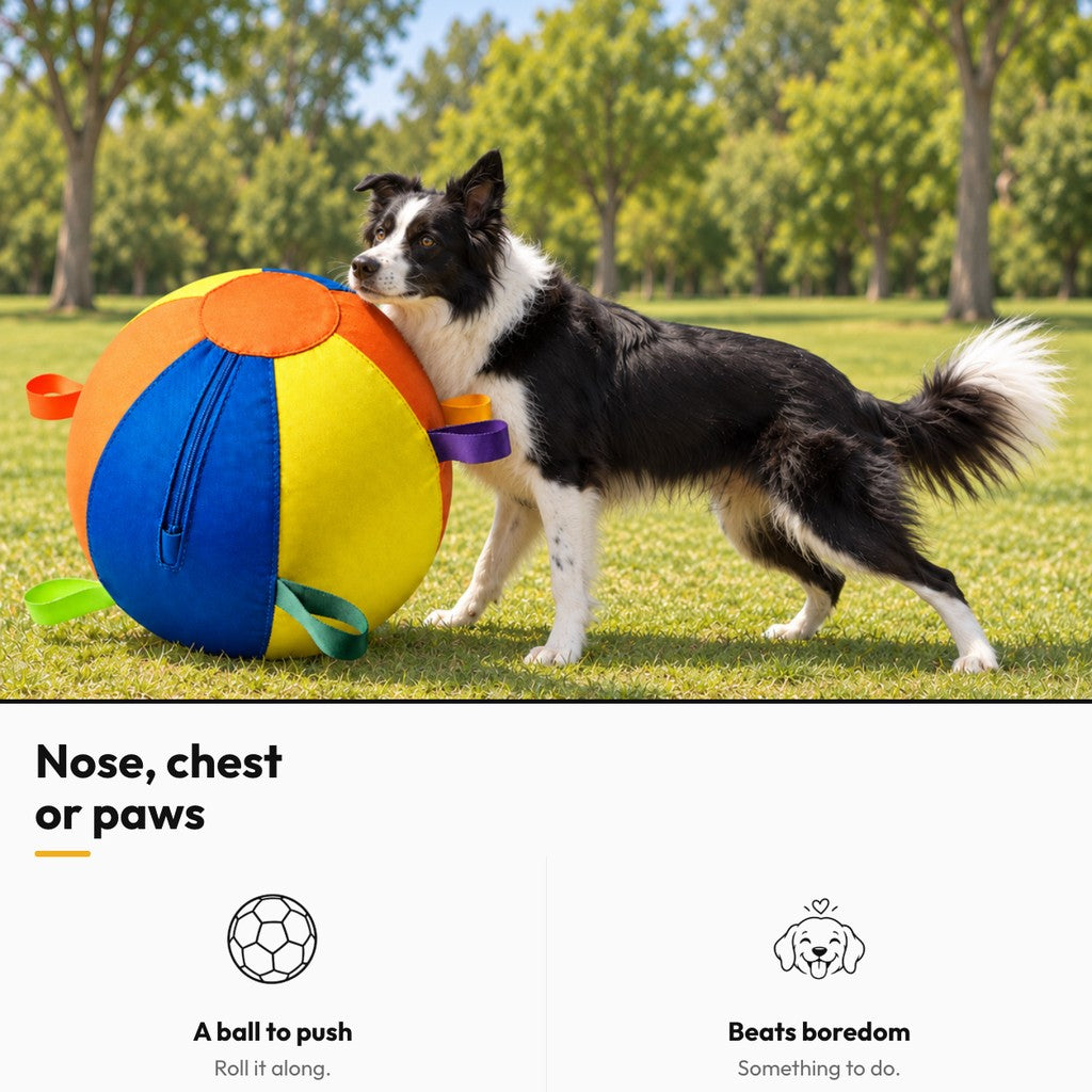 Giant Herding Ball for Dogs – Nose, chest or paws