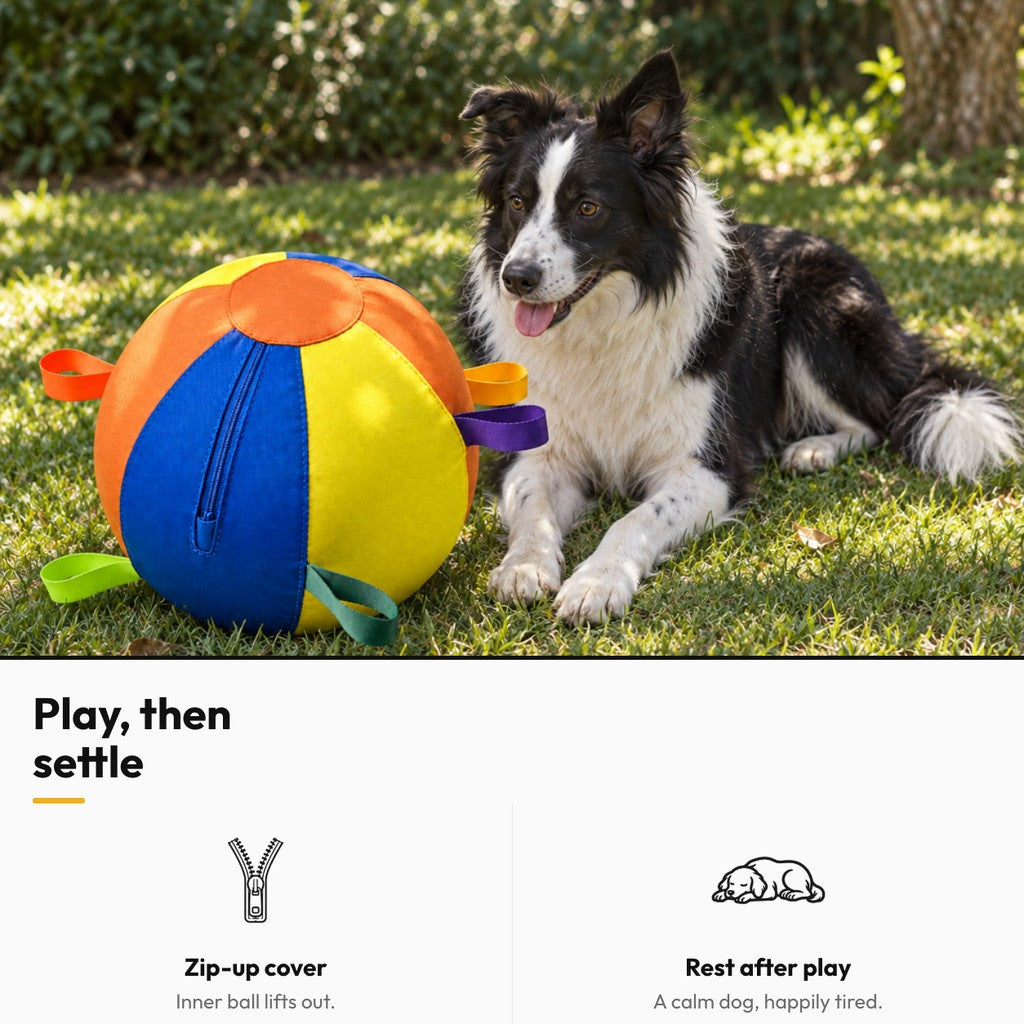 Giant Herding Ball for Dogs – Play, then settle