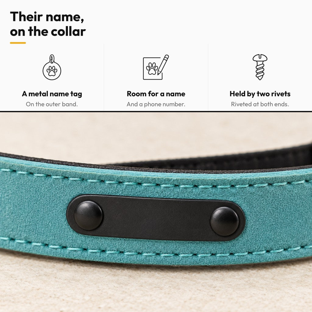 Personalised Dog Collar with Metal Name Tag – Their name, on the collar