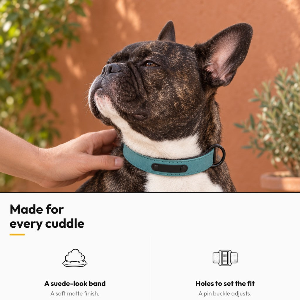 Personalised Dog Collar with Metal Name Tag – Made for every cuddle