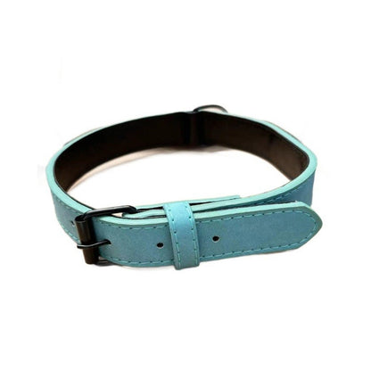 Turquoise suede-look dog collar with black pin buckle, stitched edges and dark padded lining