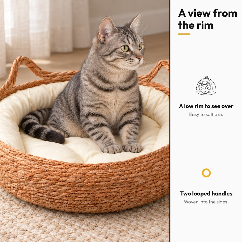 Weave Nest – A view from the rim