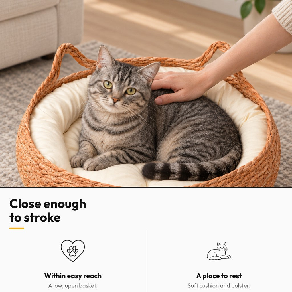 Weave Nest – Close enough to stroke