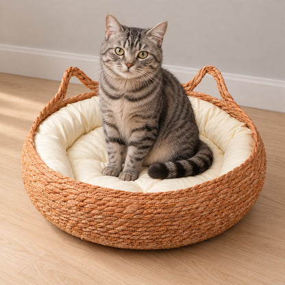 Grey tabby cat sitting upright in the basket, facing the camera, on a light wooden floor