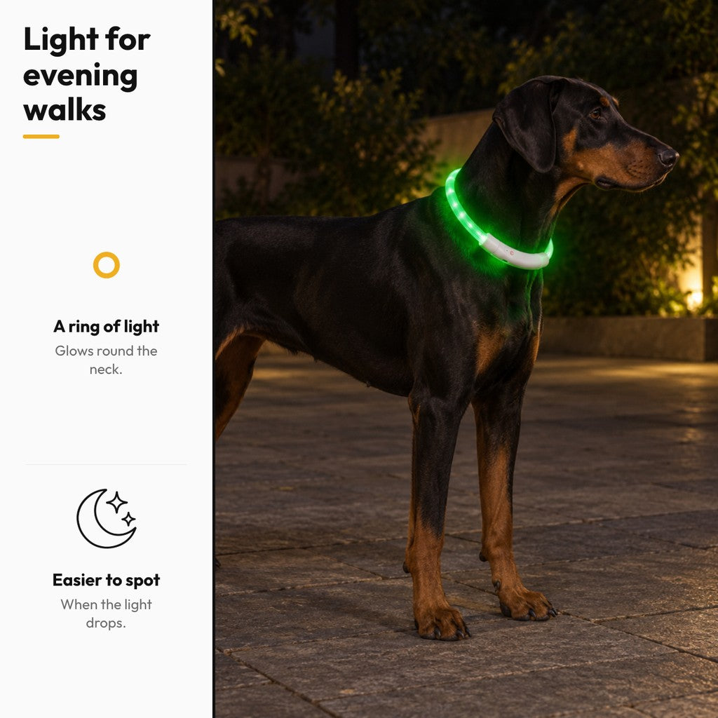 Night Glow – Light for evening walks