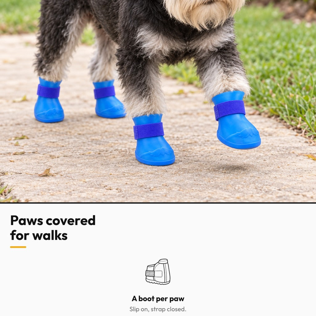 Paw Steps – Paws covered for walks