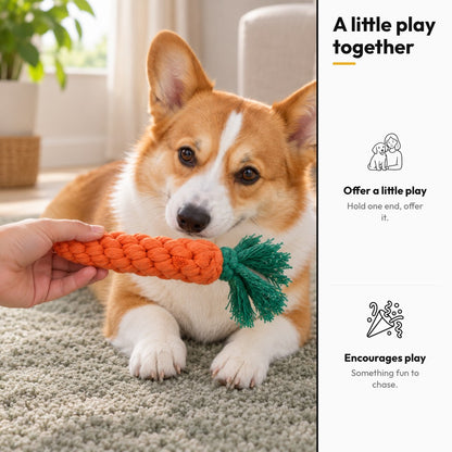 Carrot Tug – A little play together