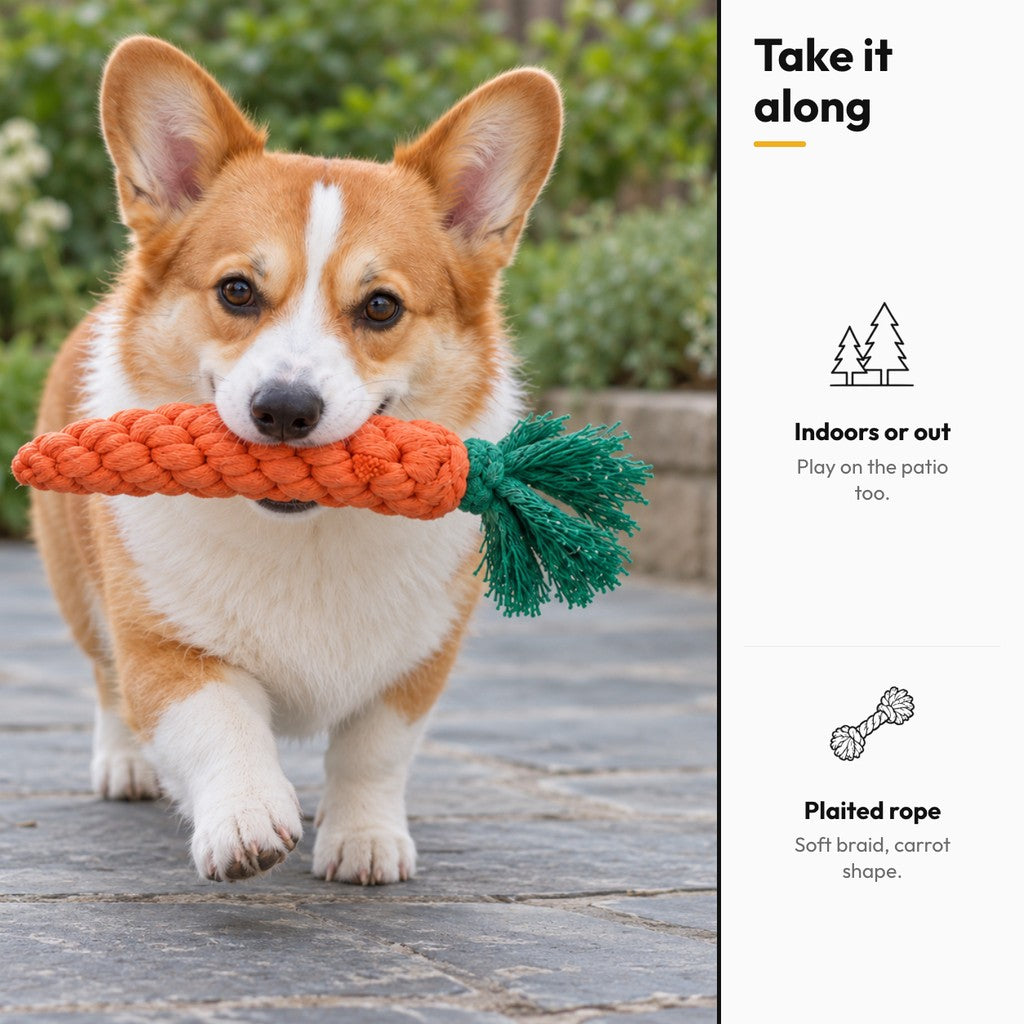 Carrot Tug – Take it along