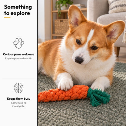 Carrot Tug – Something to explore