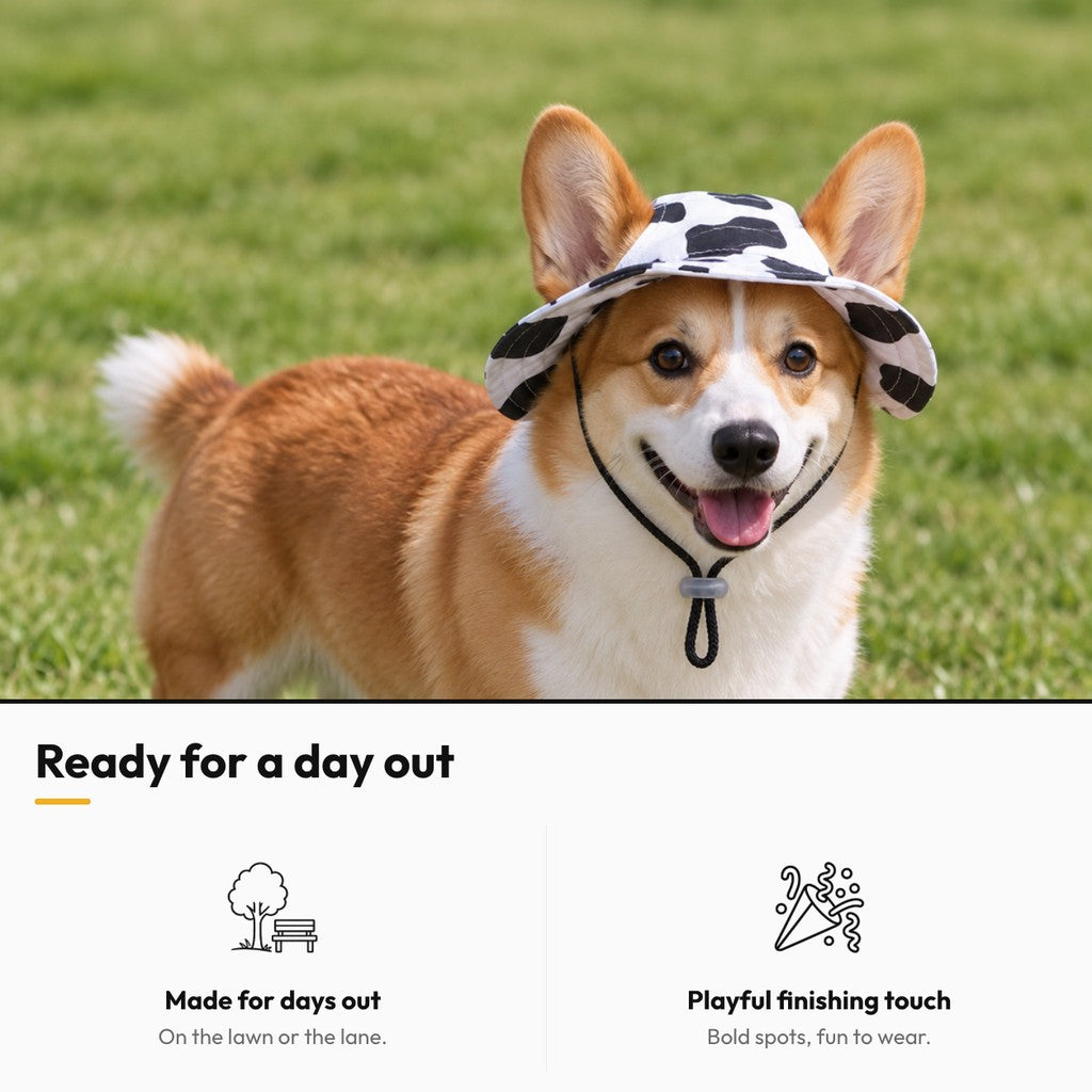 Pup Brim – Ready for a day out