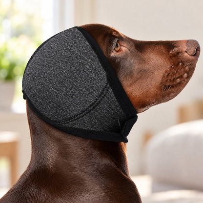 Chocolate-brown dog in profile wearing the charcoal ear wrap over both ears